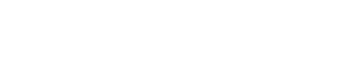 Digitech